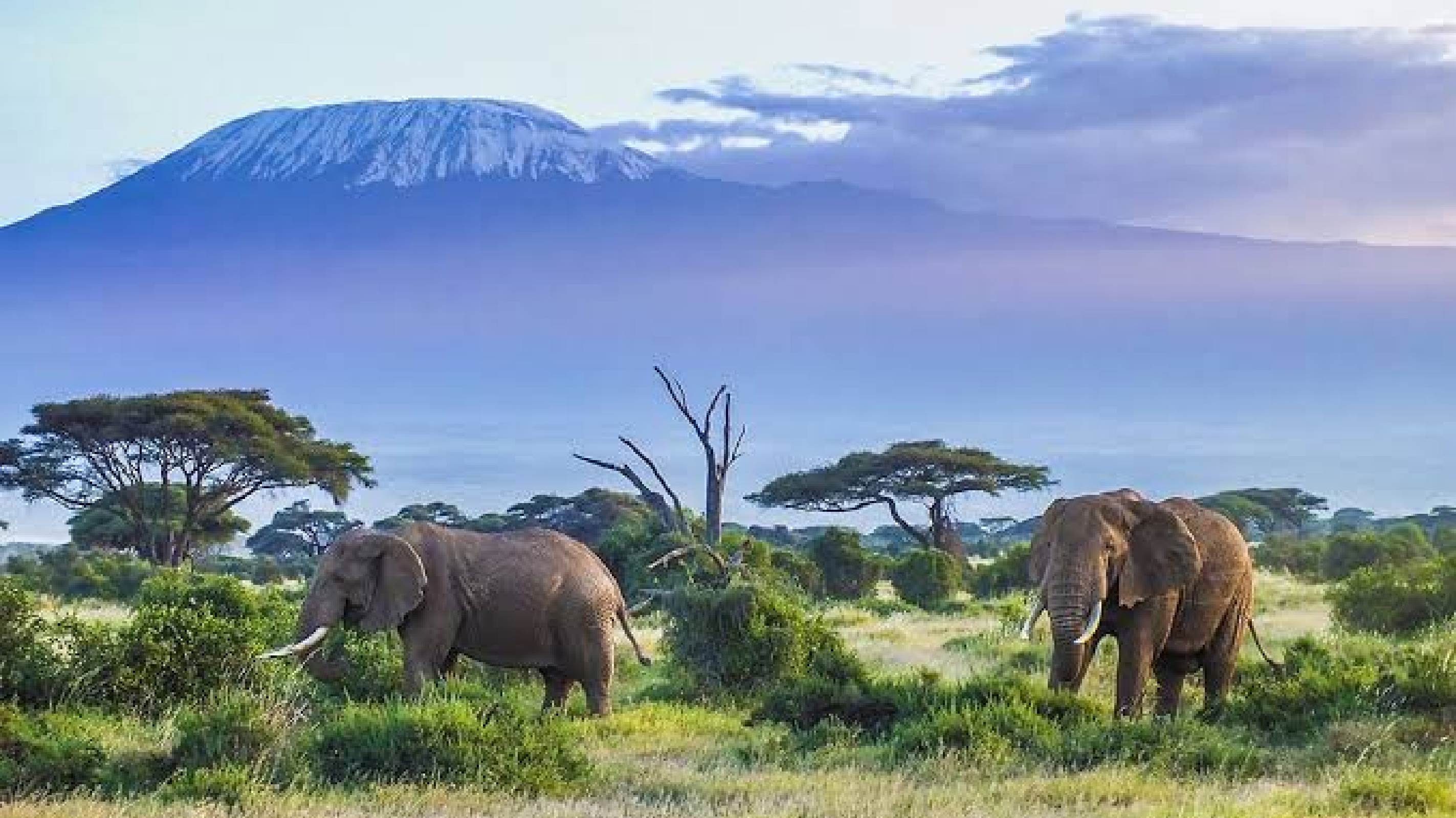 Kilimanjaro National Park